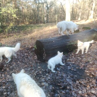 26.11.23 - Tour in der Jungfernheide