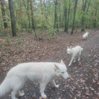 29.10.23 - Tour in der Jungfernheide