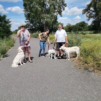 IMG-20240707-WA0020 null