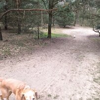 IMG_20240330_154146 null
