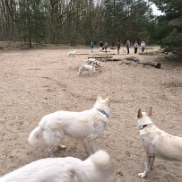 IMG_20240330_154216 null