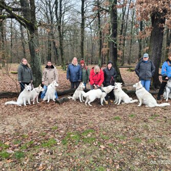 Tour am 8. Dezember 2024