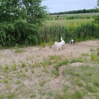2025-06-01 001 026 null