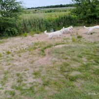 2025-06-01 001 027 null