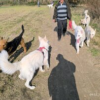 2025-03-09 001 012 null