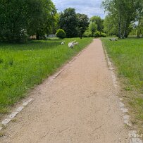 2025-05-10 001 012 null
