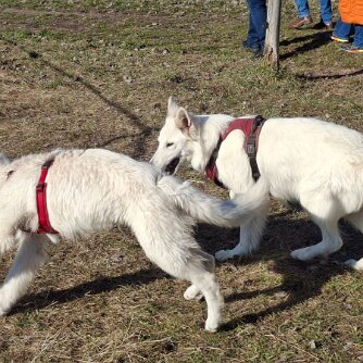 Treffen am 04. März