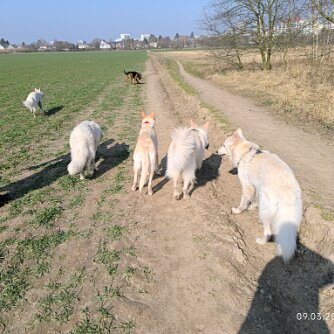 Treffen am 9. März