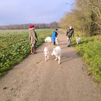 Tour am 14. Dezember 2025