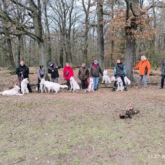 Tour am 26. Januar