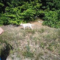 2026-07-12 001 023 null