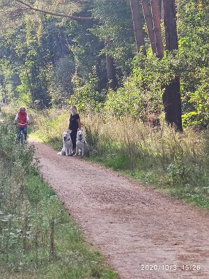 120658159_623279478550310_523182628084289168_n