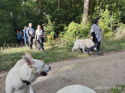 120707389_623281951883396_7513379690374222497_n