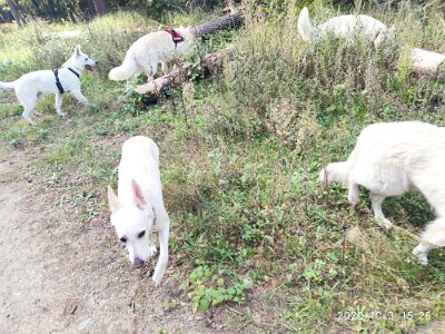 120708091_623280638550194_644840145477275358_n