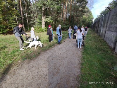 120712697_623279355216989_1663524998758859819_n