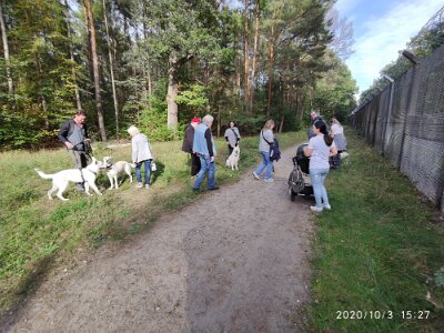 120721308_623279428550315_8742628509004277951_n