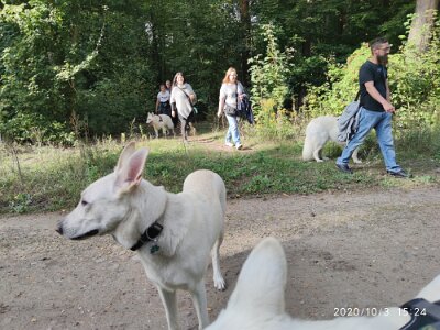 120722507_623283278549930_2860080369521661080_n