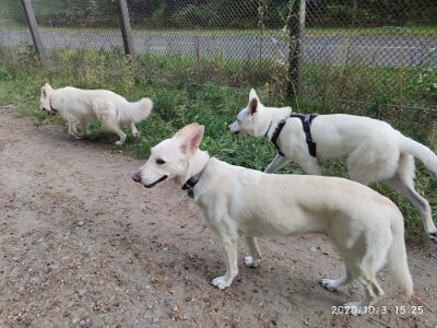 120723812_623281468550111_2551418280920922325_n