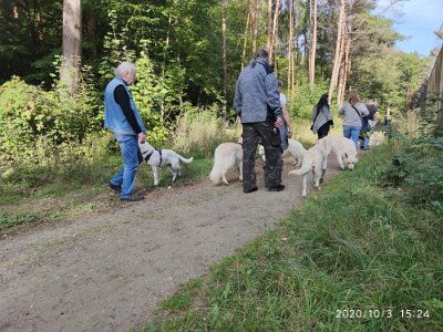 120725634_623281678550090_4692569412928528676_n