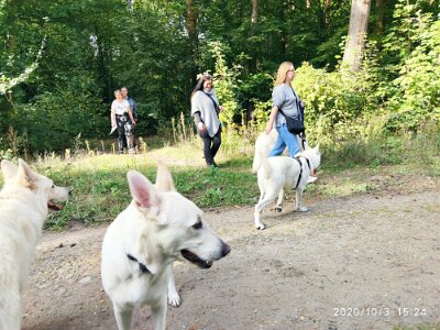 120727448_623282215216703_590450655517662279_n