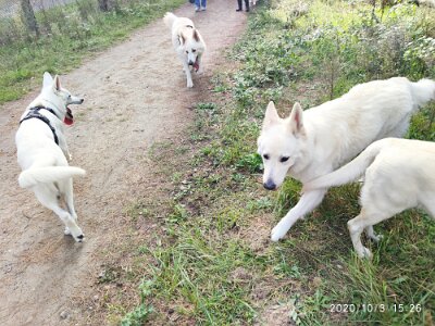 120728510_623281321883459_3232271712016585084_n