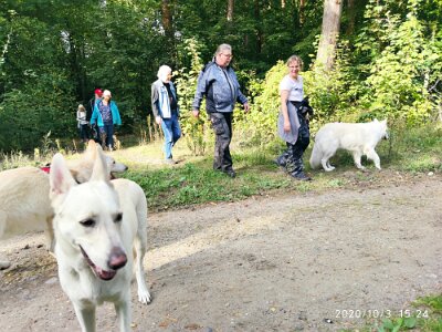 120728837_623281861883405_4503079651000169379_n