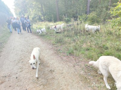 120737726_623280561883535_8569275693124093815_n