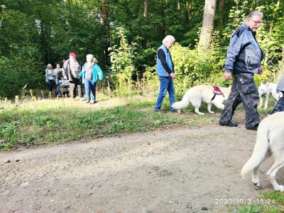 120752778_623281768550081_4325888850686622873_n