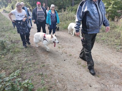 120761516_623279551883636_3615737873380875784_n