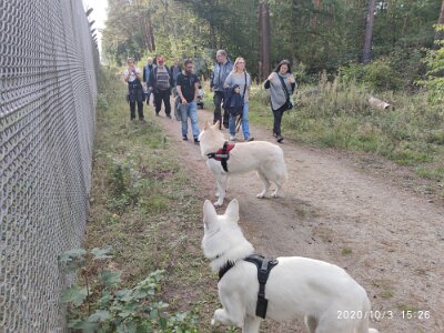 120767925_623279695216955_8485431772271055903_n