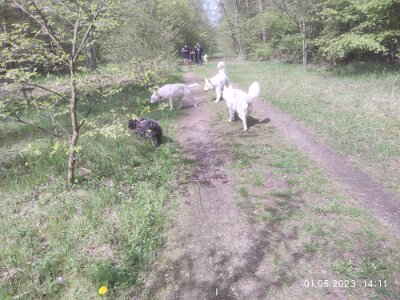 343435265_260698566331402_84653901265313084_n