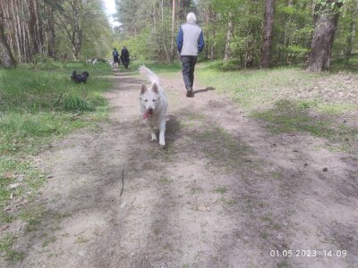 344608524_772026274298785_4690121321872644065_n