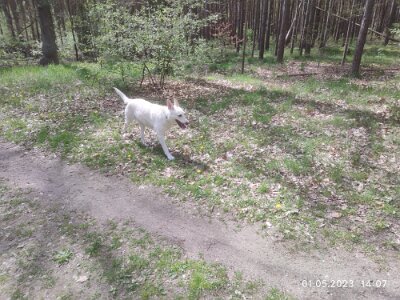 344631640_1708192522929149_1078903091624900679_n