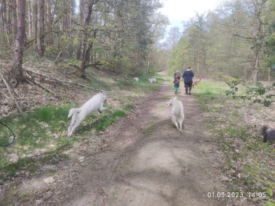 344640393_1587881284957842_5319762533376516194_n