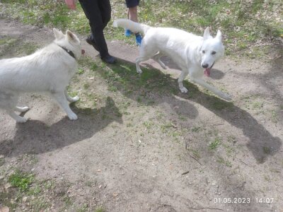 344691685_962774654906739_7586143618891621235_n