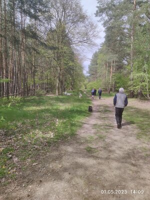 344712400_1136413967760214_8669234441660980436_n