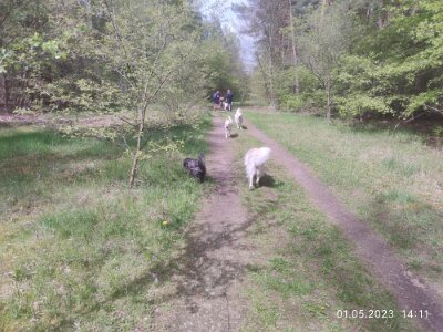 344716323_128622530201981_6520268692085784640_n