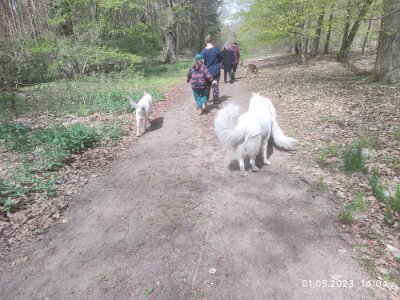 344726447_662956865591869_2181936556767053286_n