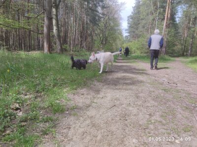 344727528_255019823593990_7615376382807927160_n