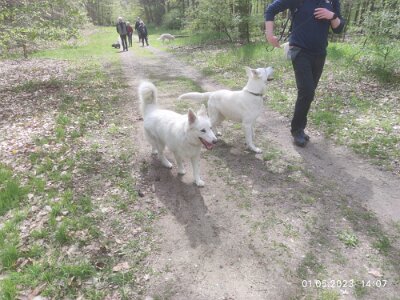 344728587_115538981505606_77208148743347000_n