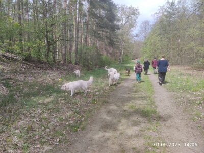 344732866_560258639571906_8314184993639741074_n