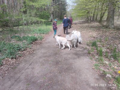 344734004_631264388388328_5145221714994462582_n