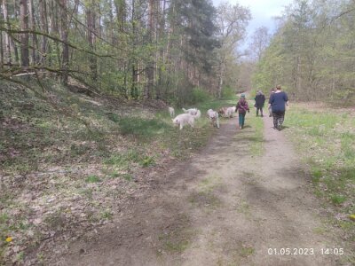 344739225_1370628486838763_5371680938712602353_n