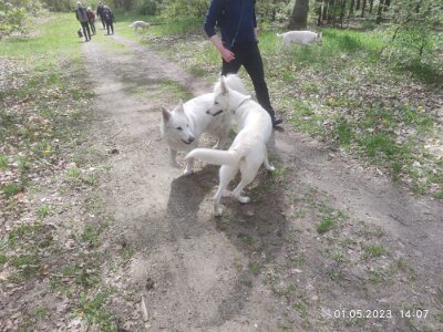 344739728_183574630839499_7649539850719983097_n