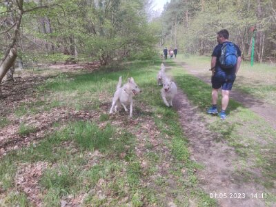 344740291_545590467738628_6048397691345324166_n