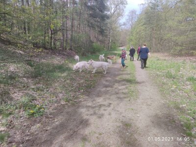 344745133_1503622226829145_1577626463593746787_n