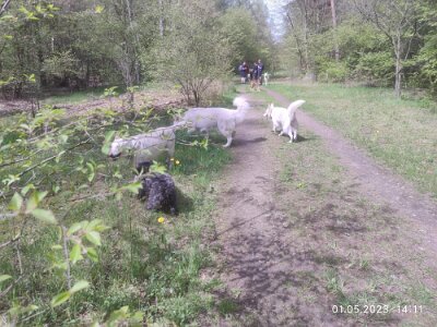 344750001_139073125722863_6087081529796746733_n