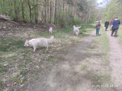 344859809_981957206508809_2811908136459174777_n