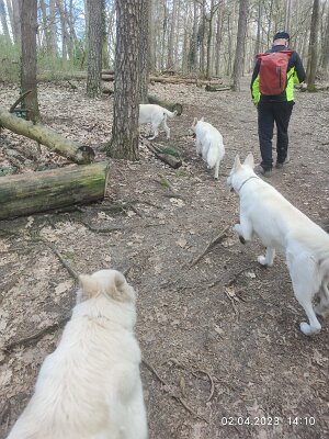 338902805_1390931368412867_218431803429539199_n