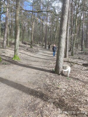 338908948_542946347977963_4127513816151661395_n